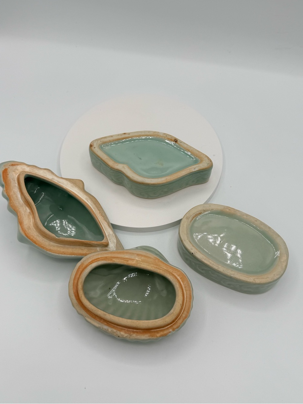 Celedon Ceramic Sea Shell Decorative Box - Sage Green - Picture 7 of 7